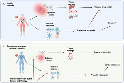 Emerging viral infections in immunocompromised patients: A great challenge to better define the role of immune response